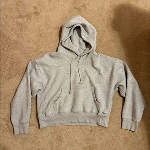 Gray Aritzia Hoodie